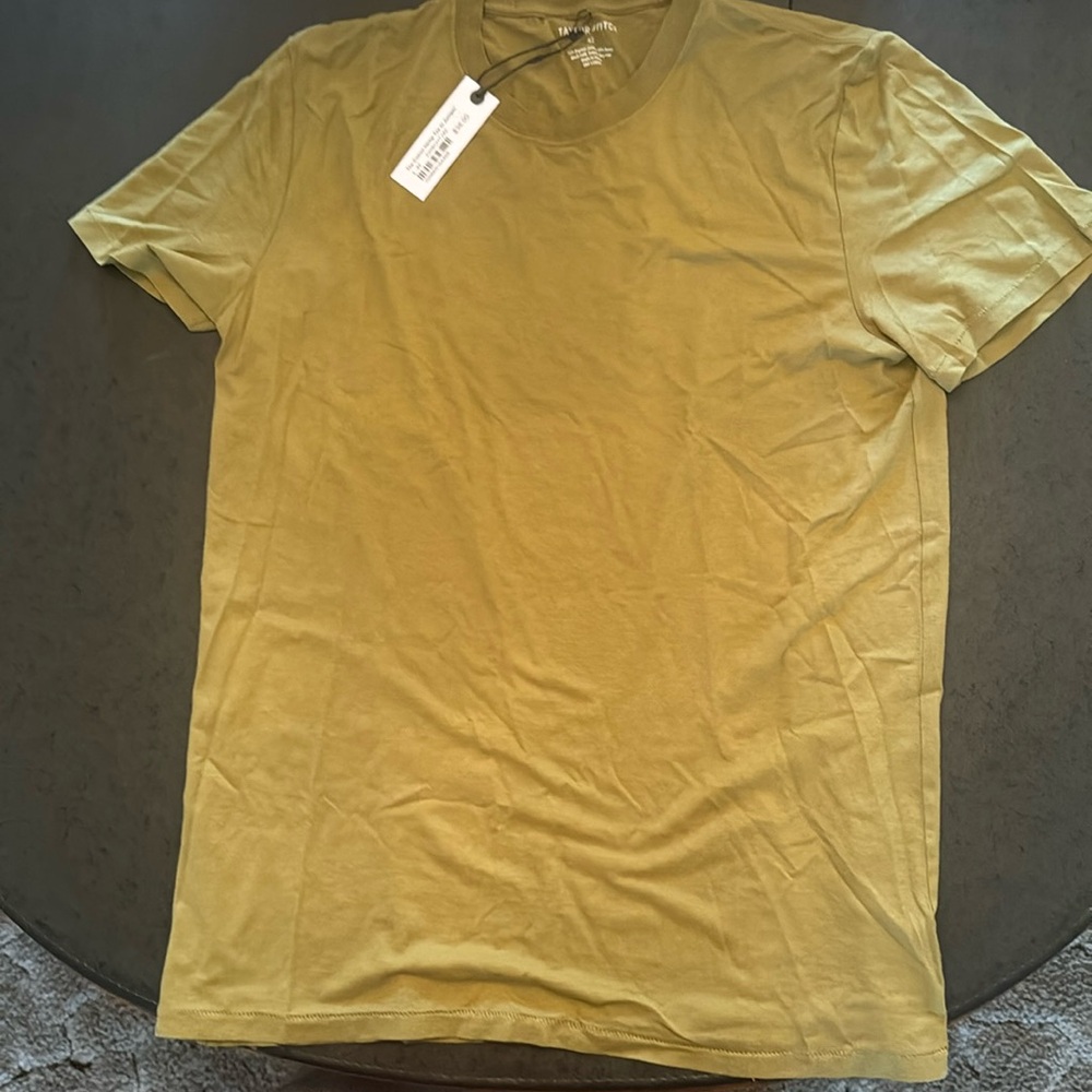 Taylor Stitch cotton hemp t shirt. Juniper 42/Large